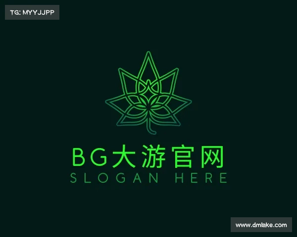 了解bg大游官网入口